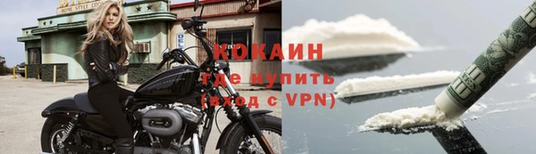 гашик Козловка