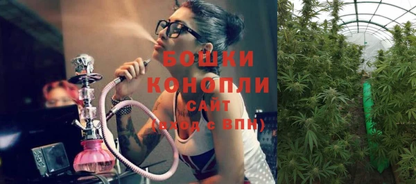 МДПВ Горно-Алтайск
