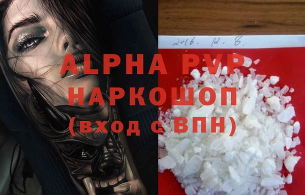 гашик Козловка