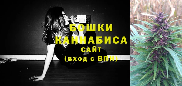 эйфоретик Горняк