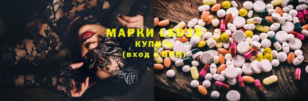 гашик Козловка