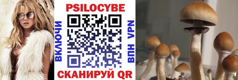 купить   Меленки  ОМГ ОМГ вход  Галлюциногенные грибы мицелий 